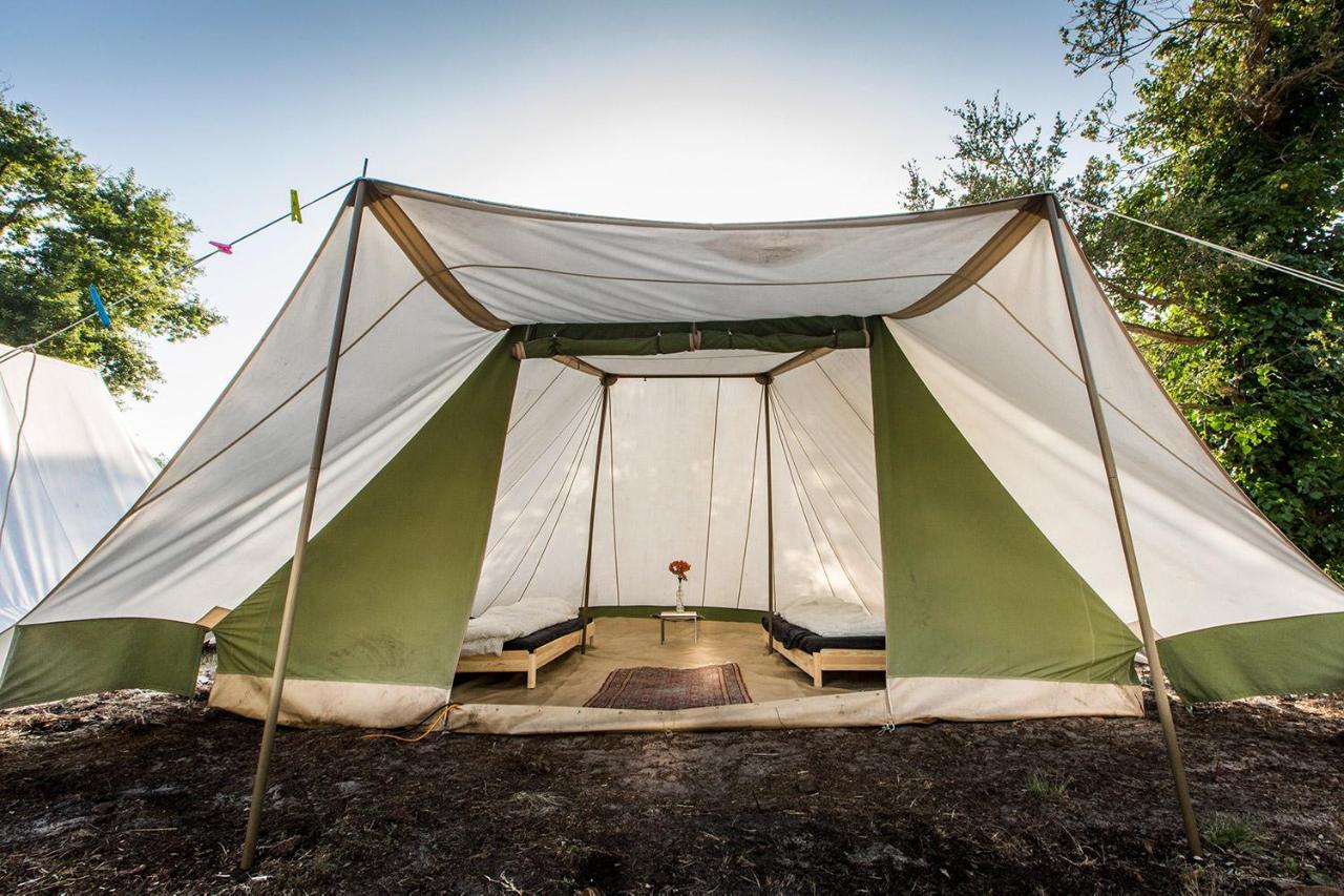 Progress Outdoor Surf Hostel Moliets-et-Maa Exterior photo