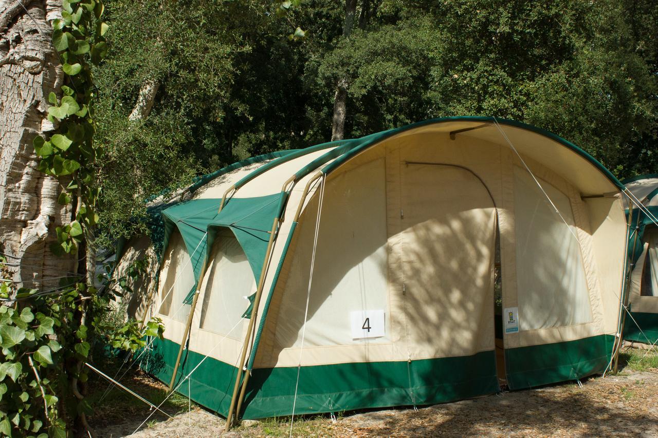 Progress Outdoor Surf Hostel Moliets-et-Maa Exterior photo